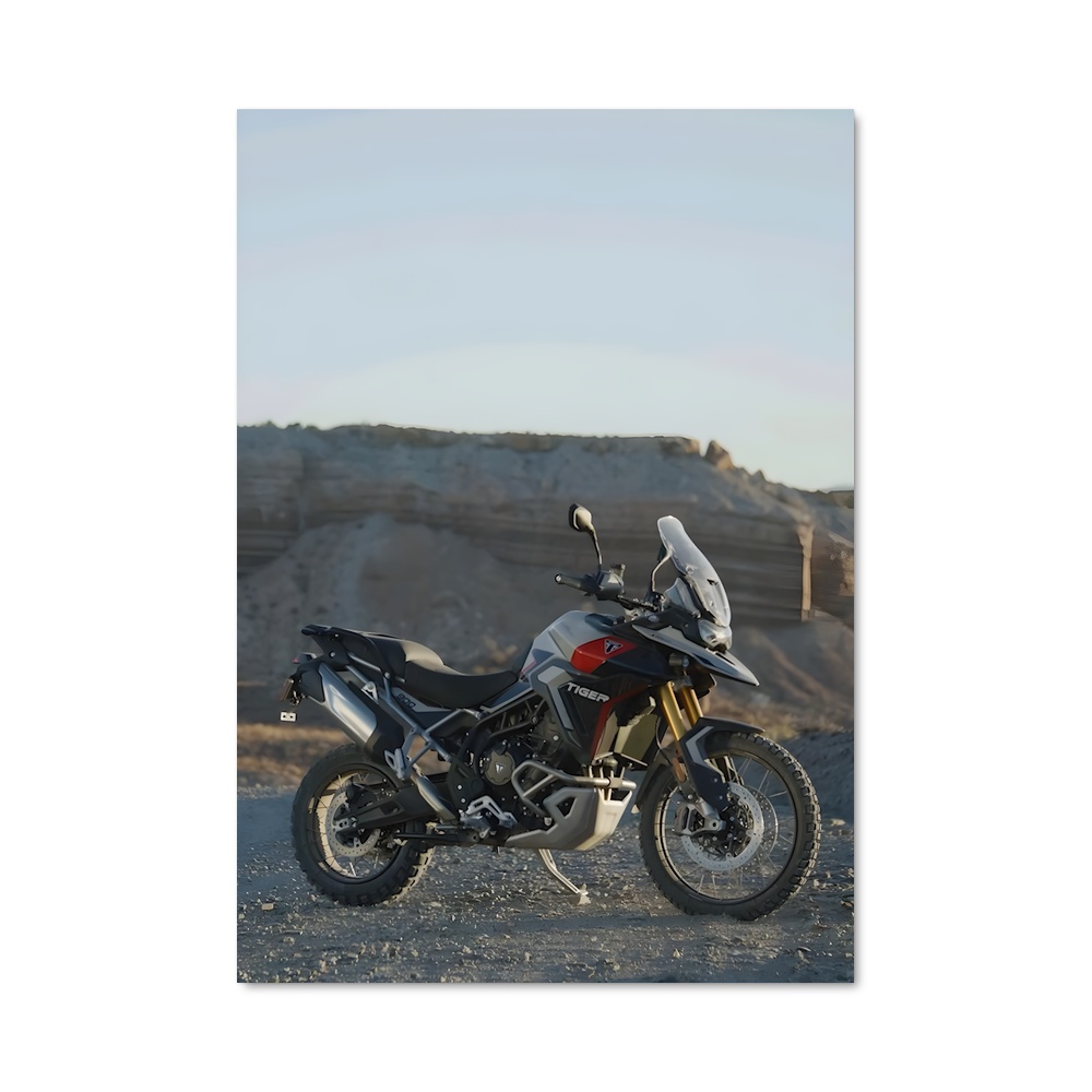 Poster Tigre Majestueux 900